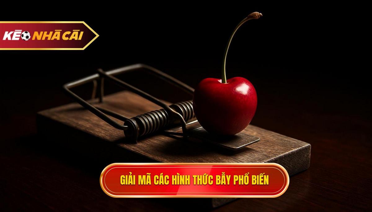 Giải Mã Các Hình Thức Bẫy Kèo Phổ Biến Nhất
