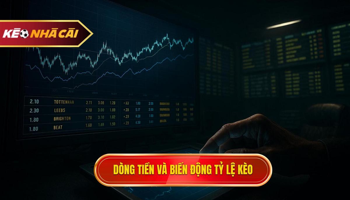 Đặc điểm dòng tiền và biến động tỷ lệ kèo siêu cúp Tây Ban Nha