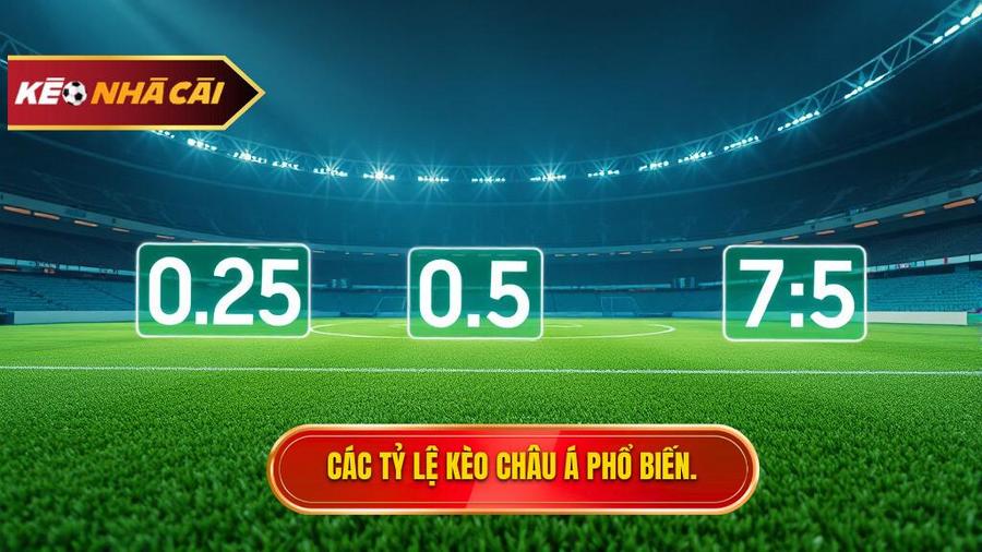 Các tỷ lệ phổ biến trong Kèo bóng đá Châu Á