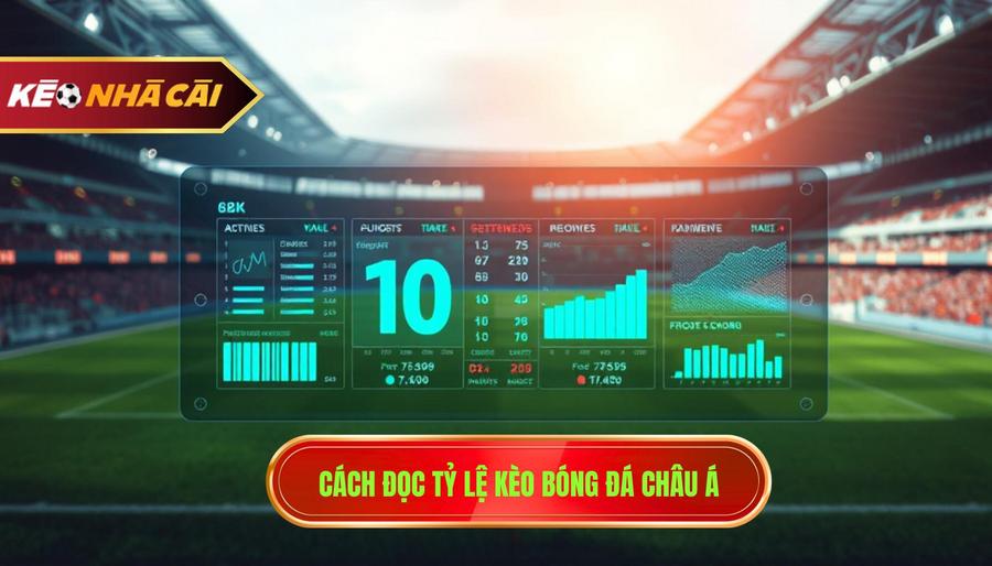 Cách đọc tỷ lệ kèo bóng đá Châu Á