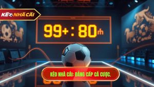 Cá cược kèo bù giờ cho người mới: Bí quyết thắng lớn từ chuyên gia